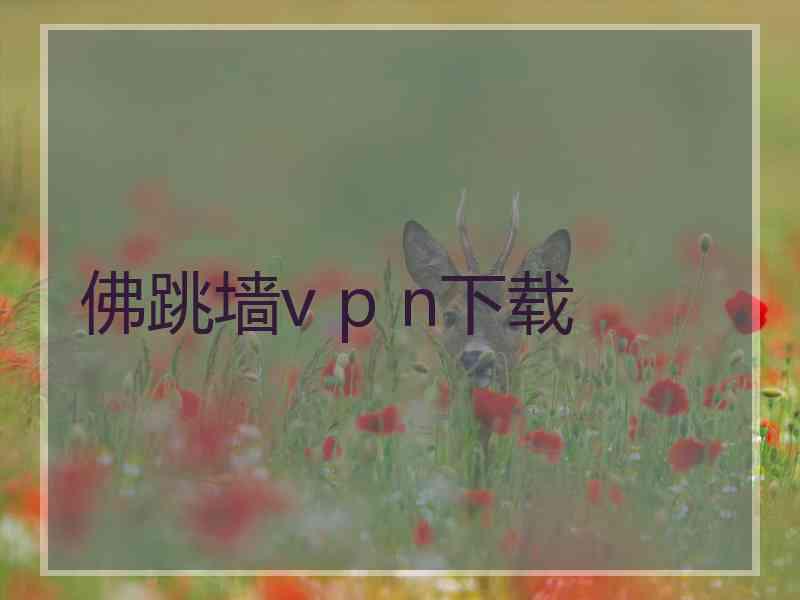 佛跳墙v p n下载