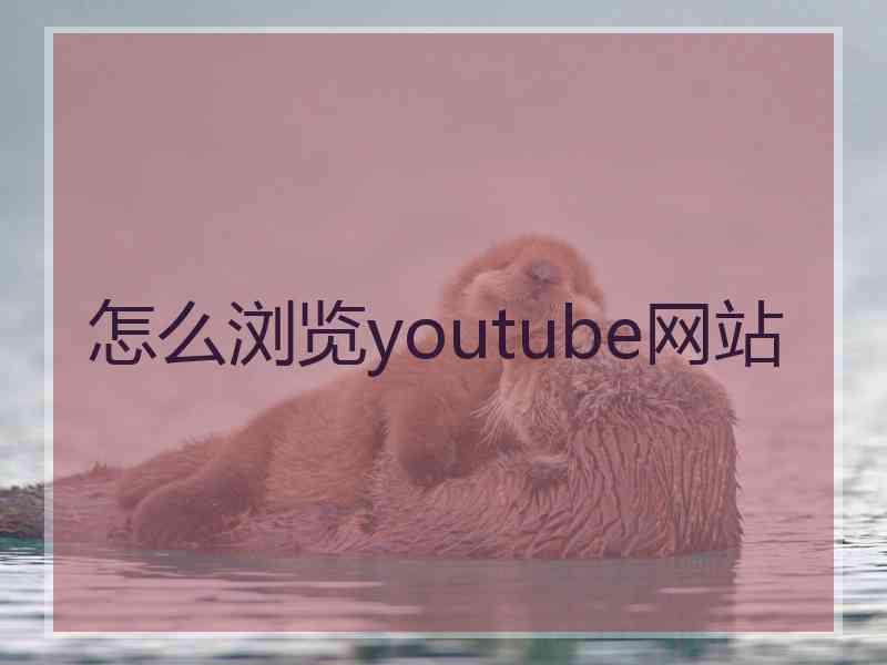 怎么浏览youtube网站