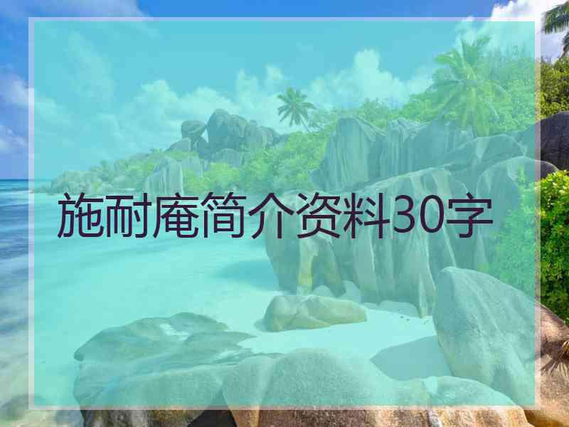 施耐庵简介资料30字