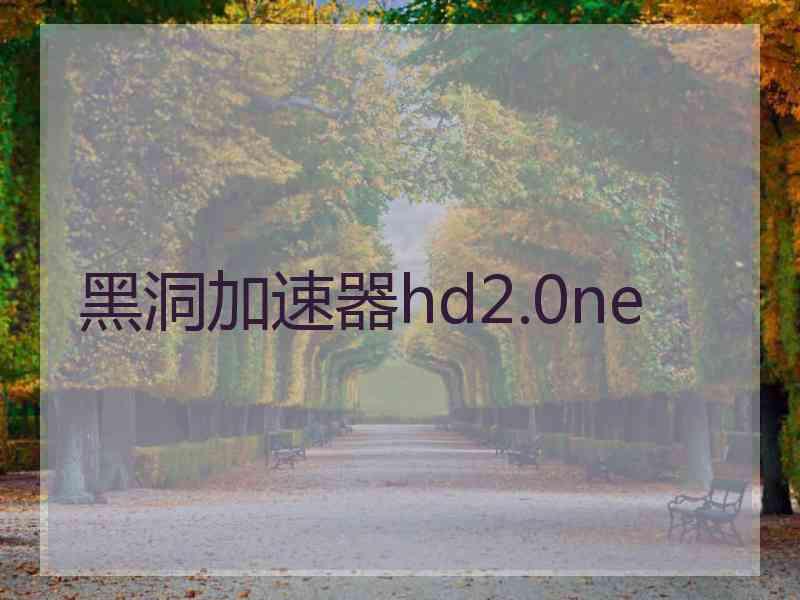 黑洞加速器hd2.0ne