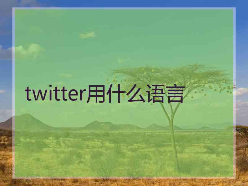 twitter用什么语言