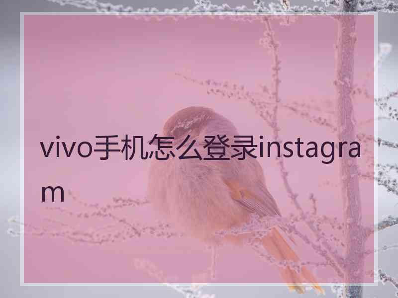 vivo手机怎么登录instagram