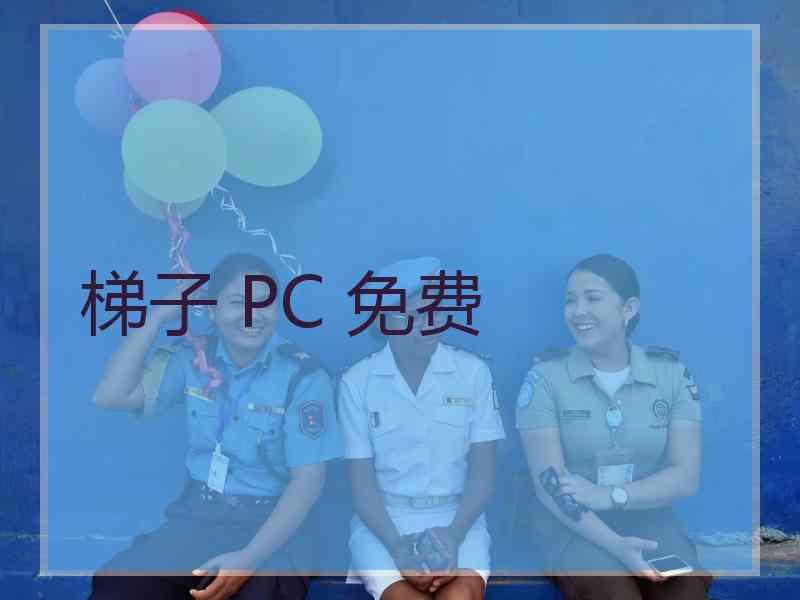 梯子 PC 免费