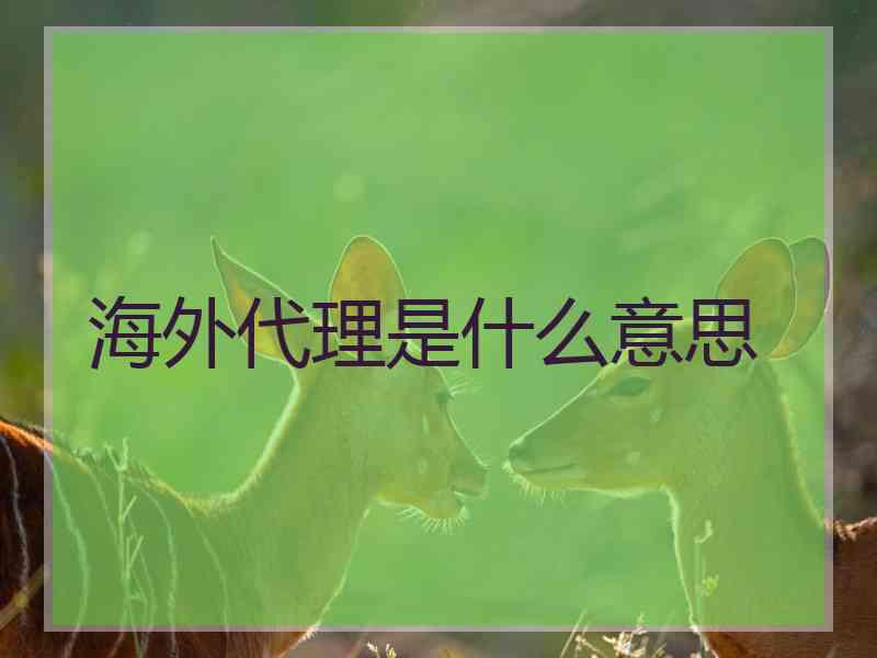 海外代理是什么意思