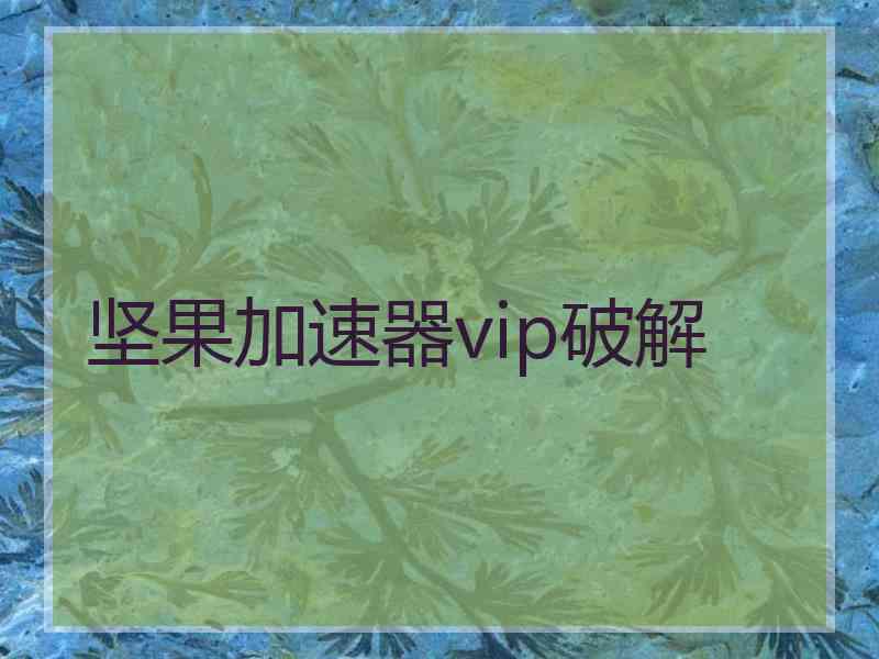 坚果加速器vip破解