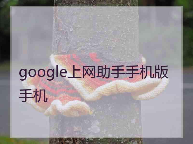 google上网助手手机版手机