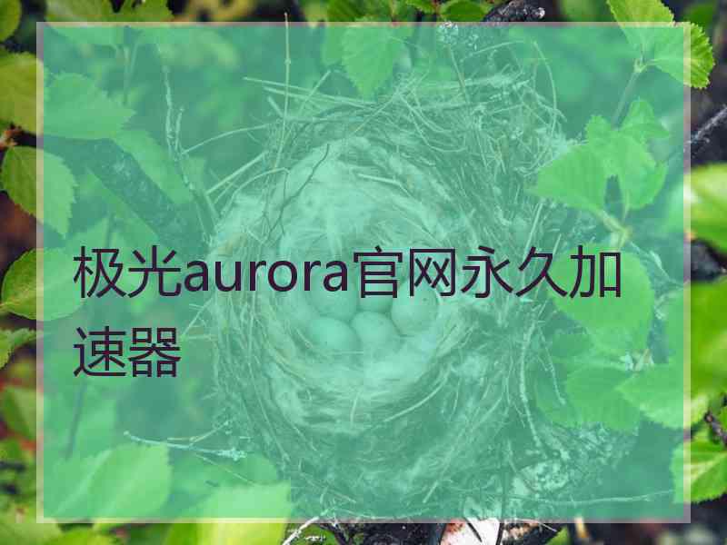 极光aurora官网永久加速器