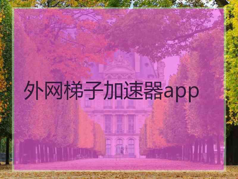 外网梯子加速器app