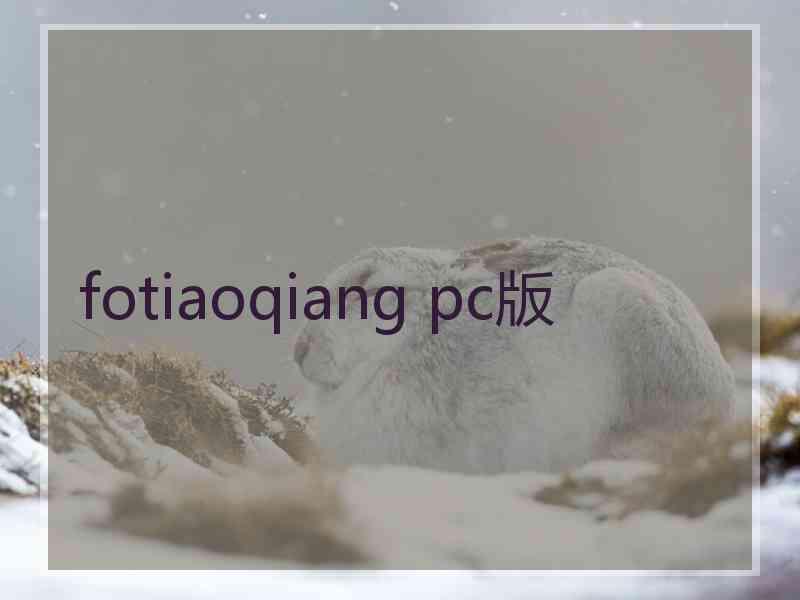 fotiaoqiang pc版