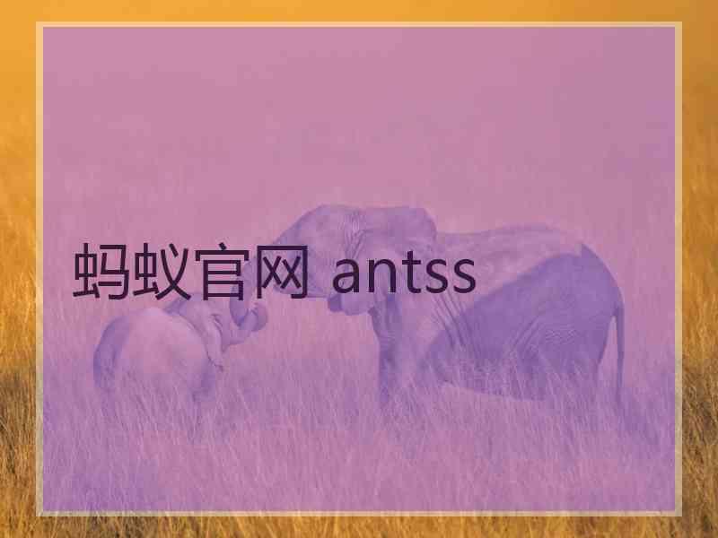 蚂蚁官网 antss