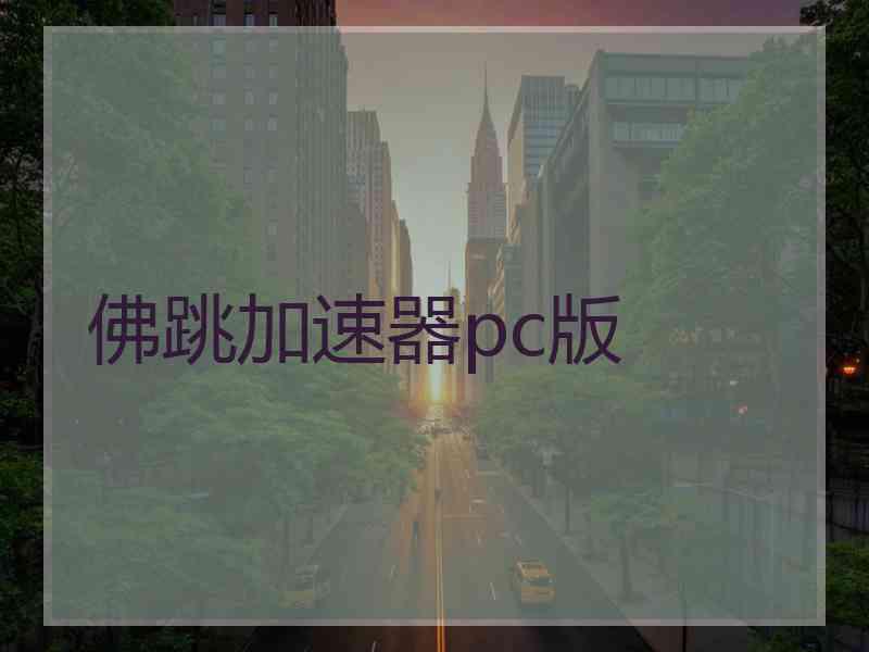 佛跳加速器pc版