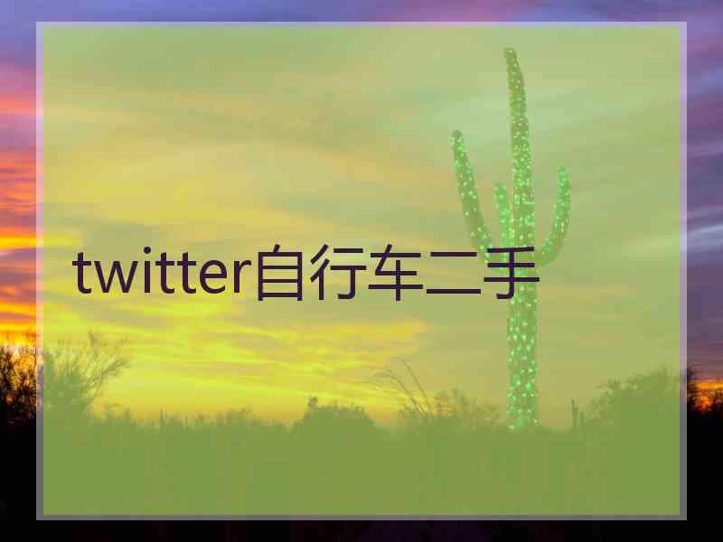 twitter自行车二手