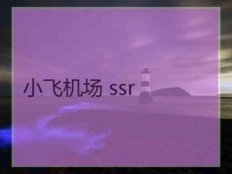 小飞机场 ssr