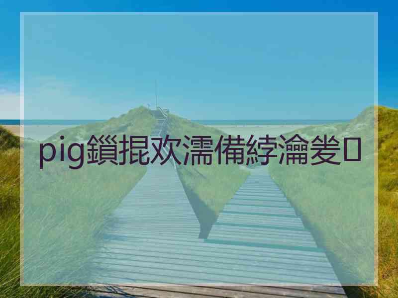 pig鎻掍欢濡備綍瀹夎