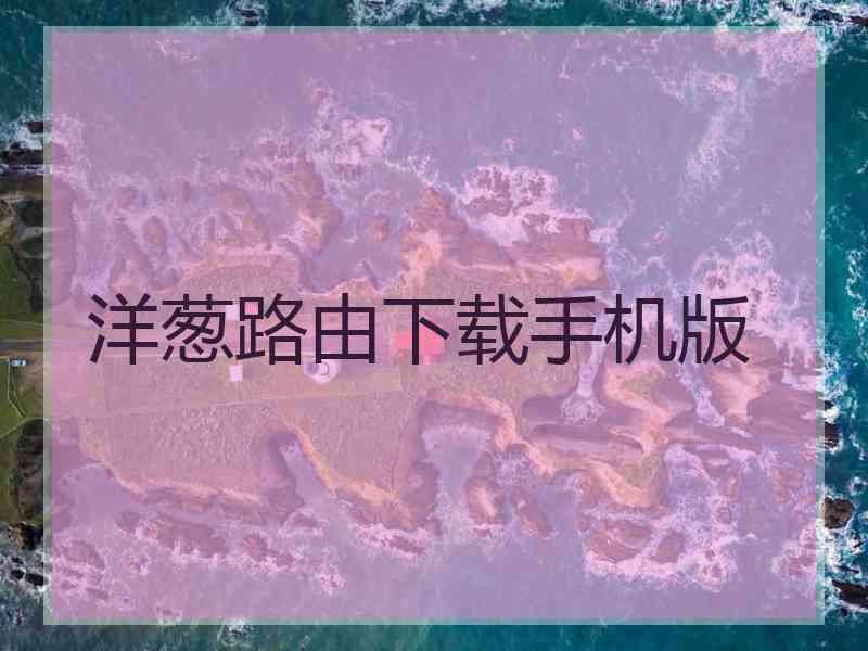 洋葱路由下载手机版