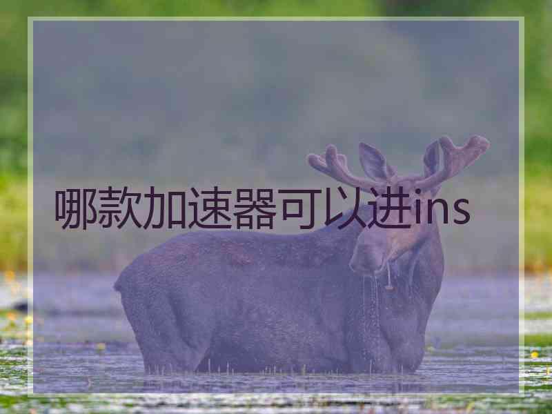 哪款加速器可以进ins