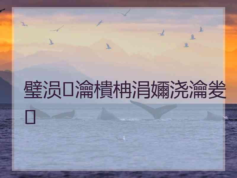 璧涢瀹樻柟涓嬭浇瀹夎