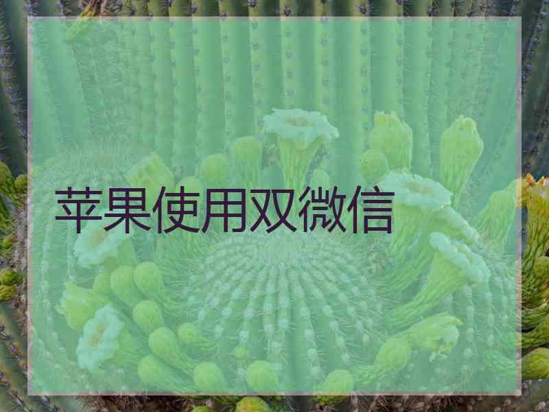 苹果使用双微信