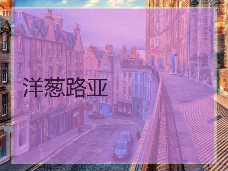 洋葱路亚