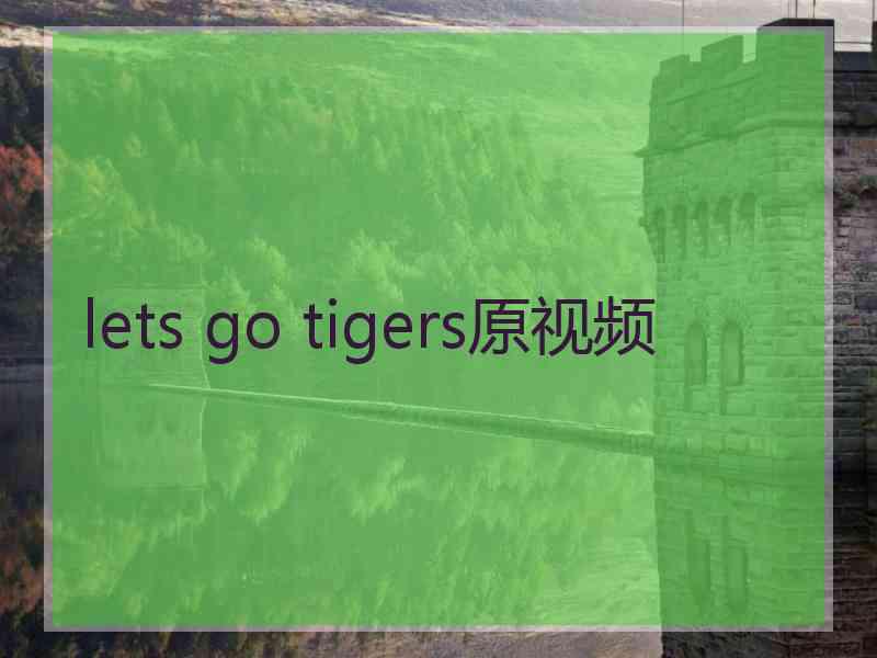 lets go tigers原视频