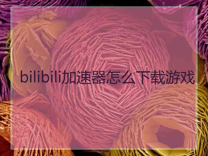 bilibili加速器怎么下载游戏