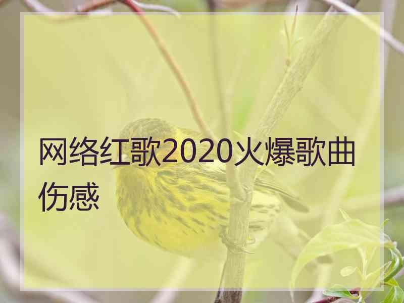 网络红歌2020火爆歌曲伤感