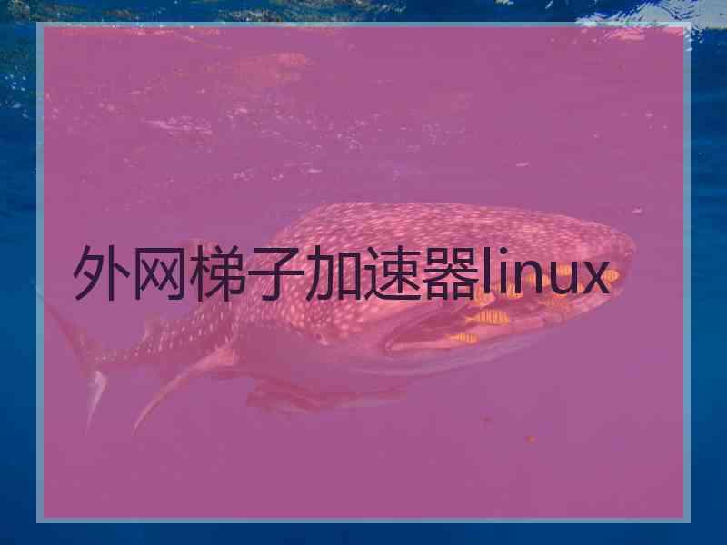 外网梯子加速器linux