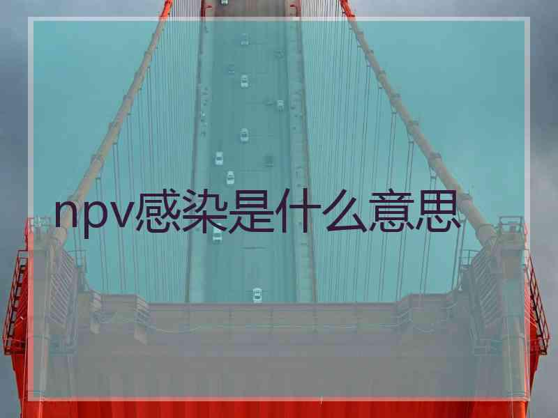 npv感染是什么意思