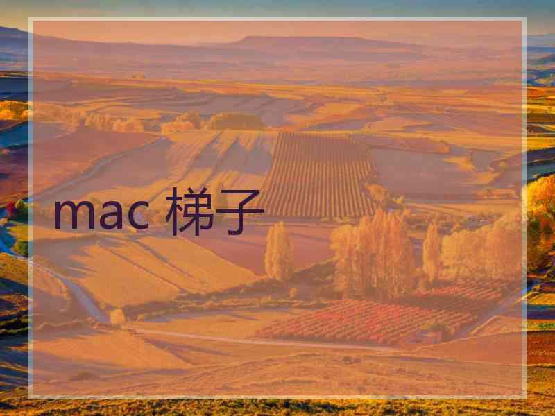 mac 梯子