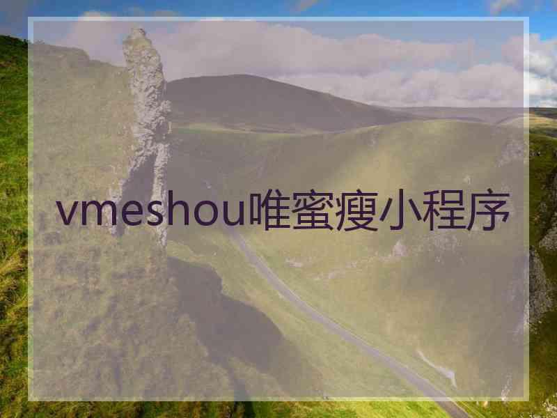 vmeshou唯蜜瘦小程序