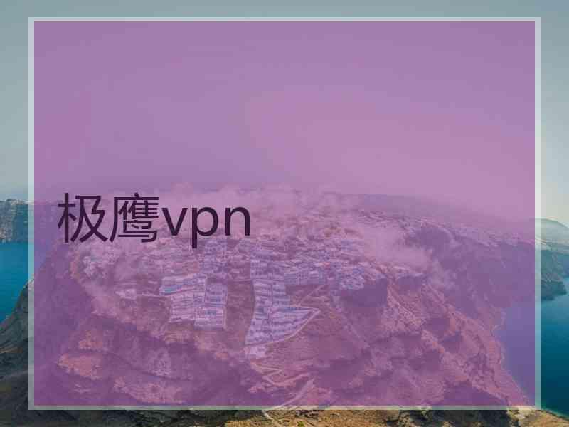 极鹰vpn