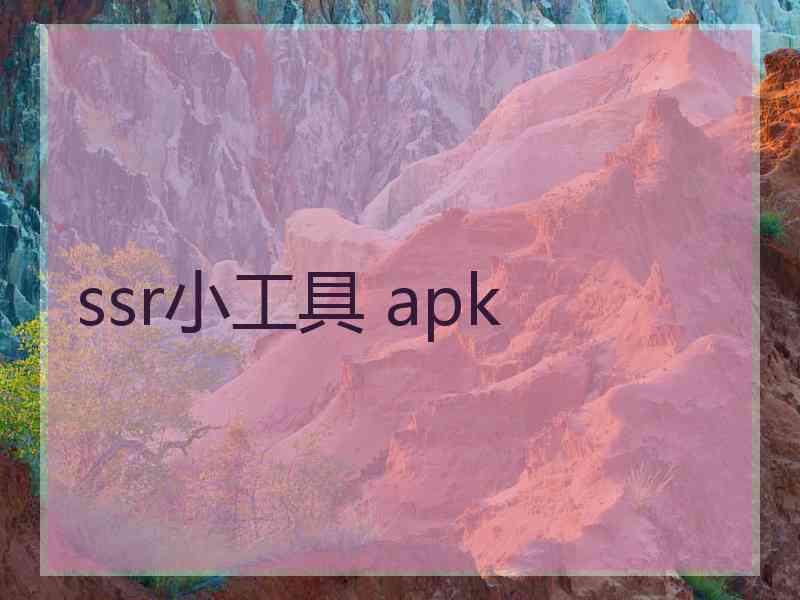 ssr小工具 apk