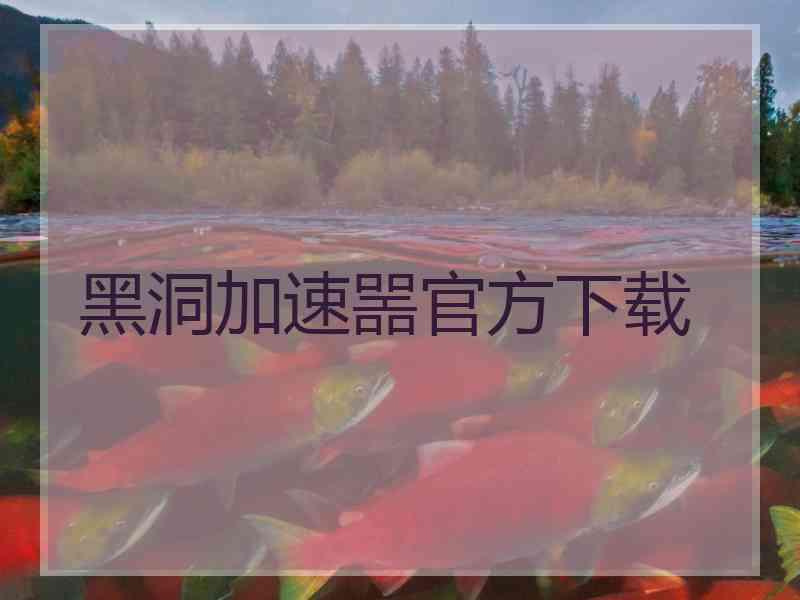 黑洞加速噐官方下载