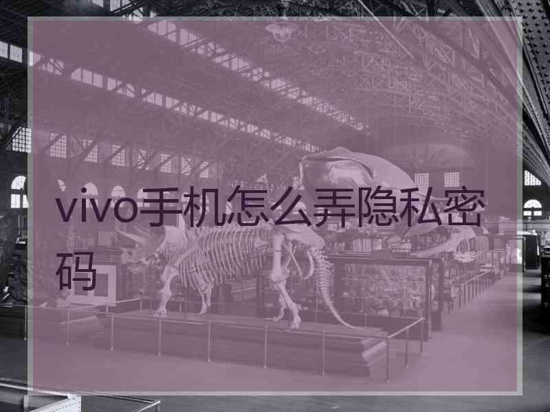 vivo手机怎么弄隐私密码