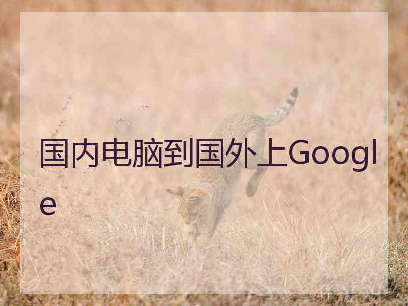 国内电脑到国外上Google