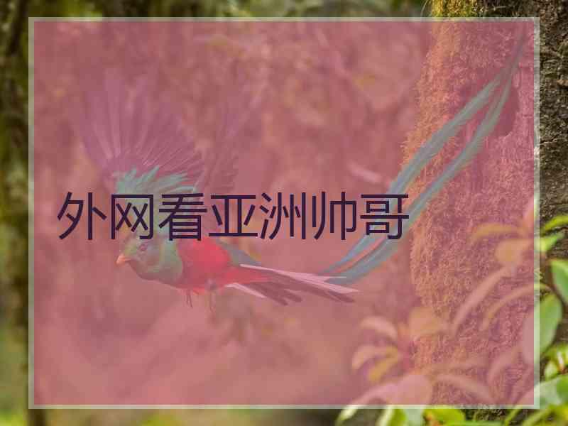 外网看亚洲帅哥