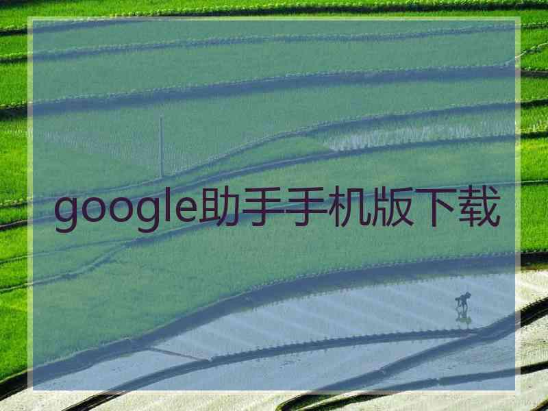 google助手手机版下载