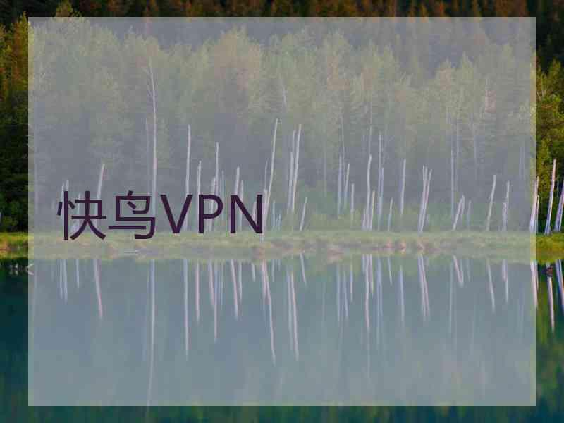 快鸟VPN