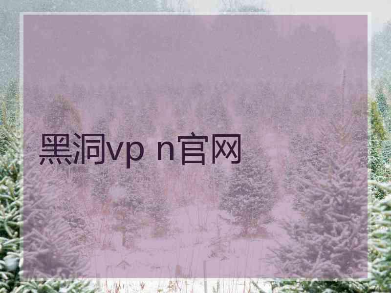 黑洞vp n官网