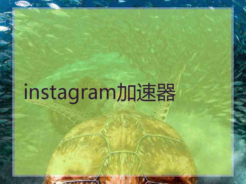 instagram加速器