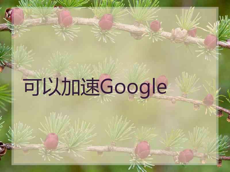 可以加速Google