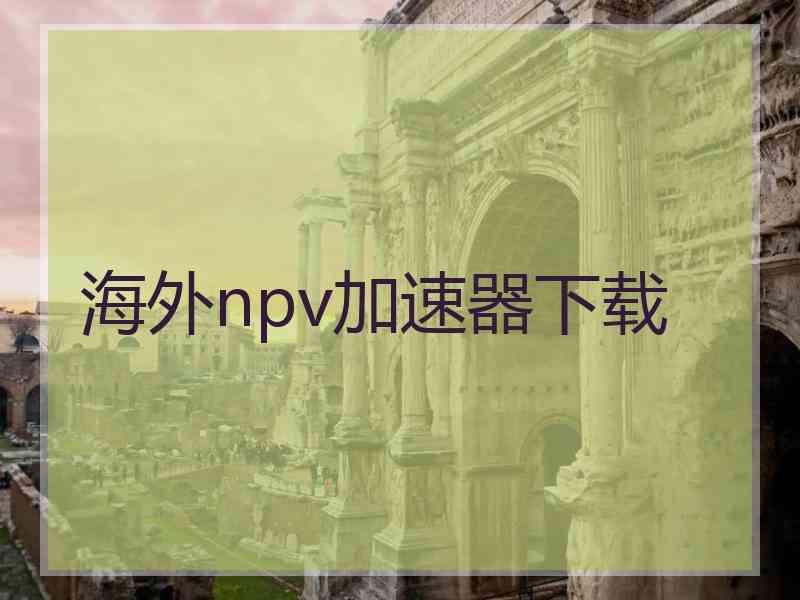 海外npv加速器下载