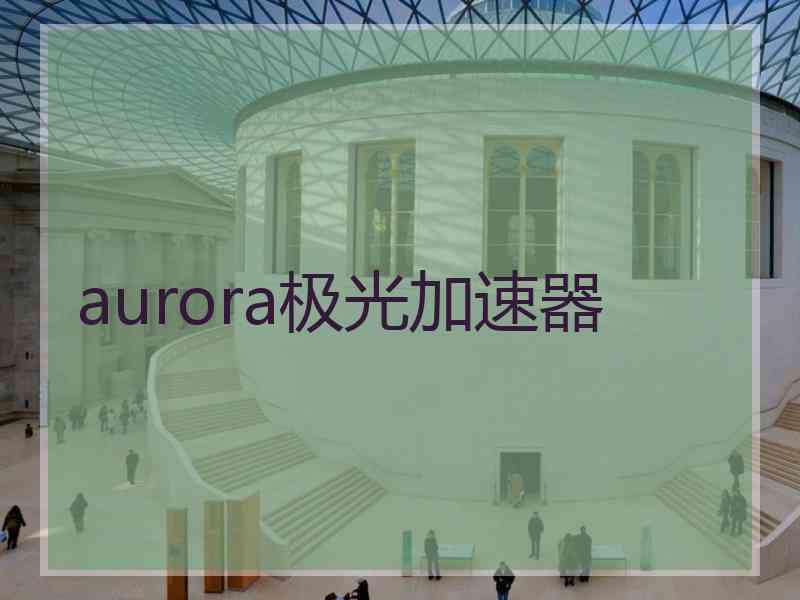 aurora极光加速器