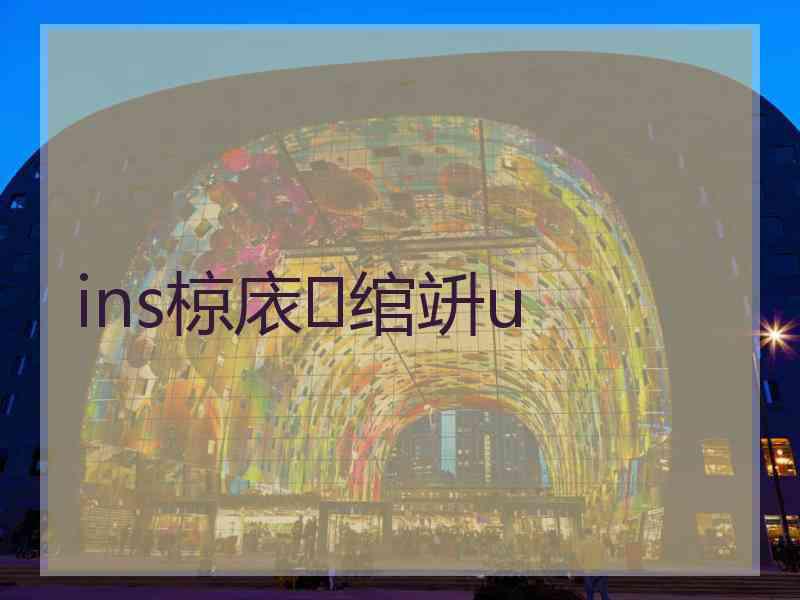 ins椋庡绾竔u