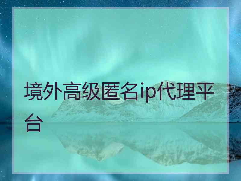 境外高级匿名ip代理平台