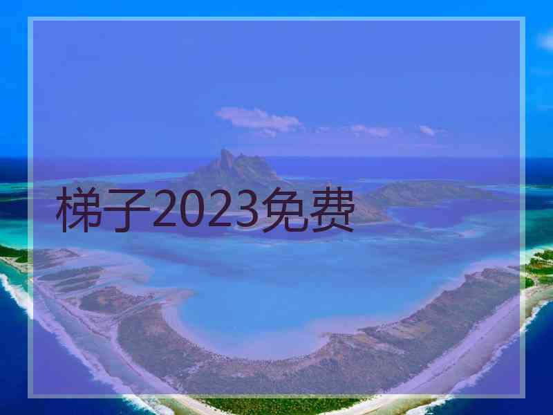 梯子2023免费