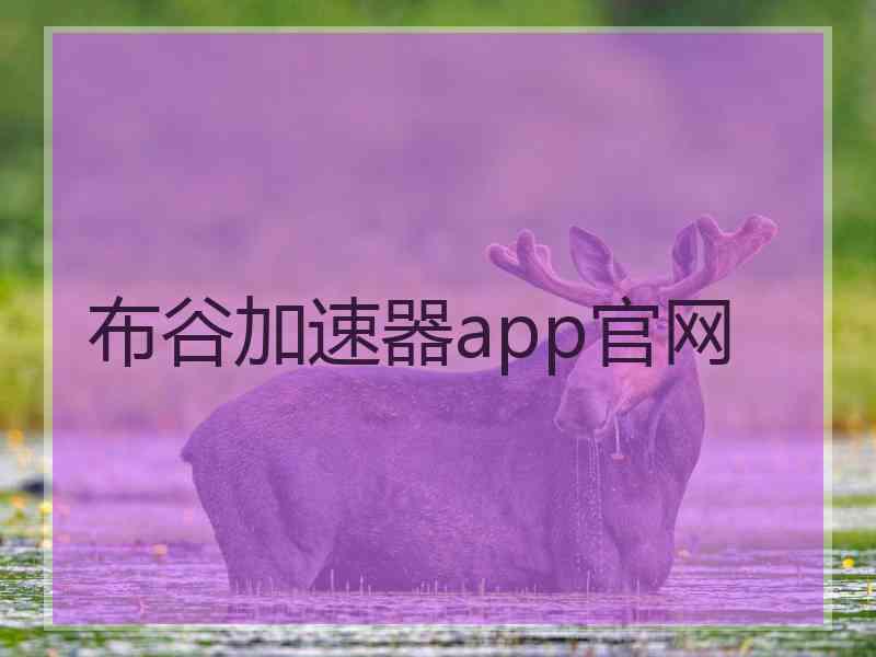 布谷加速器app官网