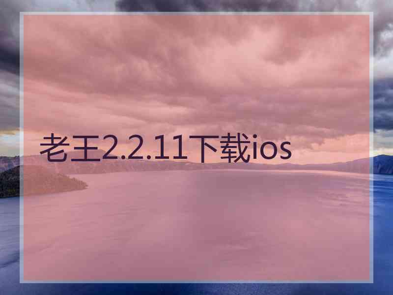 老王2.2.11下载ios