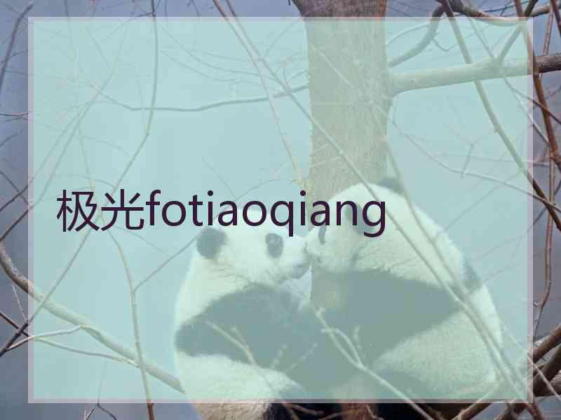 极光fotiaoqiang