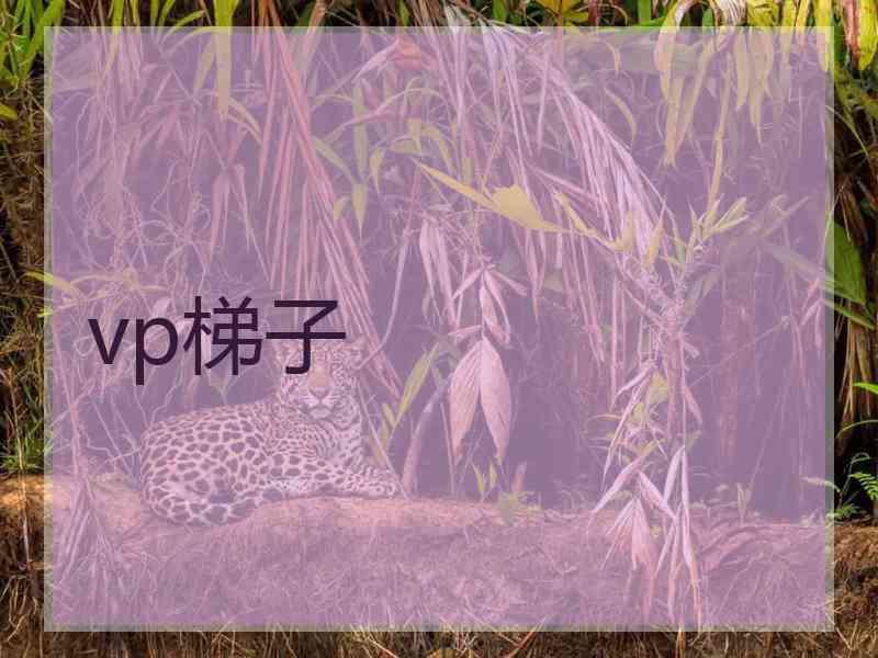 vp梯子